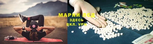крисы Алексин