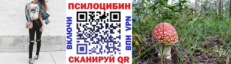 blacksprut рабочий сайт  Славск  Псилоцибиновые грибы MAGIC MUSHROOMS 